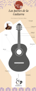 las partes de la guitarra