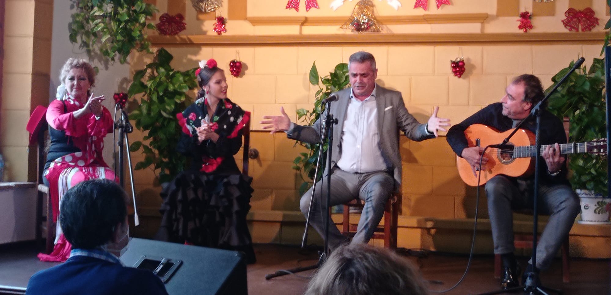 ¿Qué es el Flamenco?. Las Peñas de Flamenco en Sevilla - Pura Esencia